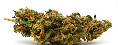 Marihuana